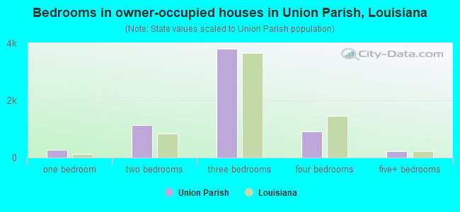 Bedrooms in owner-occupied houses in Union Parish, Louisiana