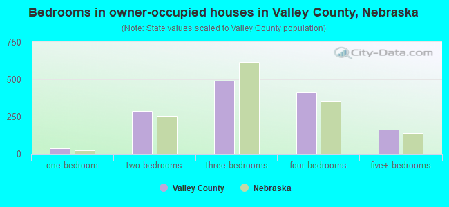 Bedrooms in owner-occupied houses in Valley County, Nebraska