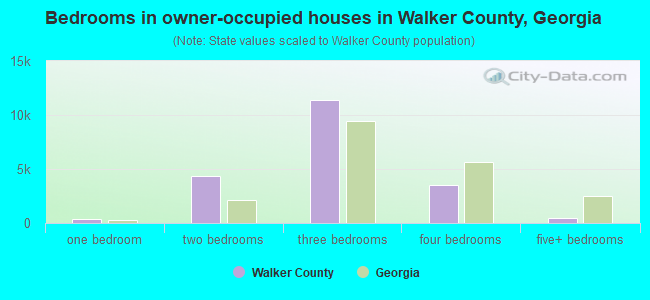Bedrooms in owner-occupied houses in Walker County, Georgia