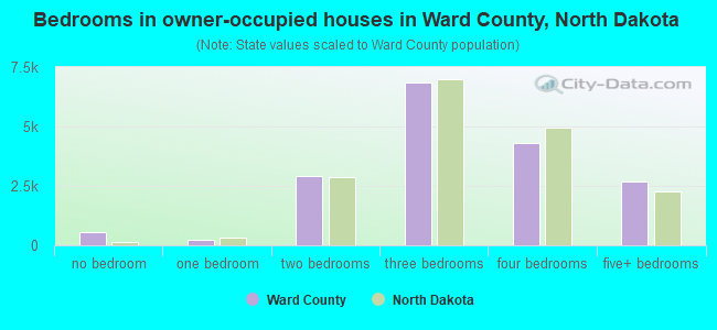 Bedrooms in owner-occupied houses in Ward County, North Dakota