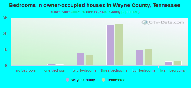 Bedrooms in owner-occupied houses in Wayne County, Tennessee
