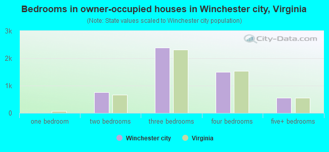 Bedrooms in owner-occupied houses in Winchester city, Virginia