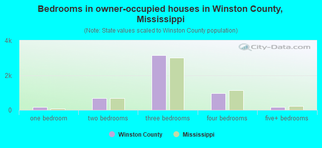 Bedrooms in owner-occupied houses in Winston County, Mississippi