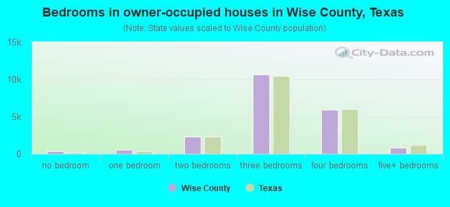 Bedrooms in owner-occupied houses in Wise County, Texas