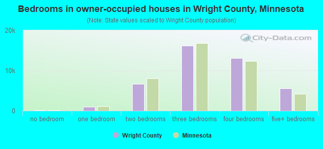 Bedrooms in owner-occupied houses in Wright County, Minnesota