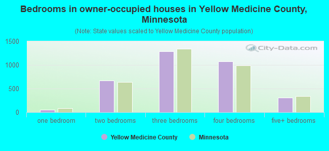 Bedrooms in owner-occupied houses in Yellow Medicine County, Minnesota