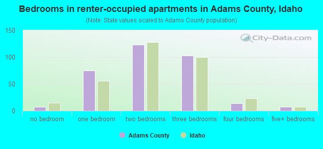 Bedrooms in renter-occupied apartments in Adams County, Idaho