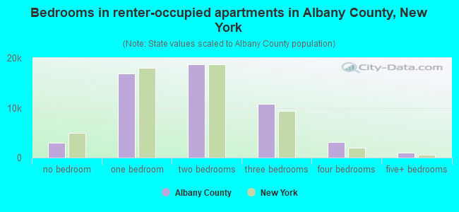 Bedrooms in renter-occupied apartments in Albany County, New York