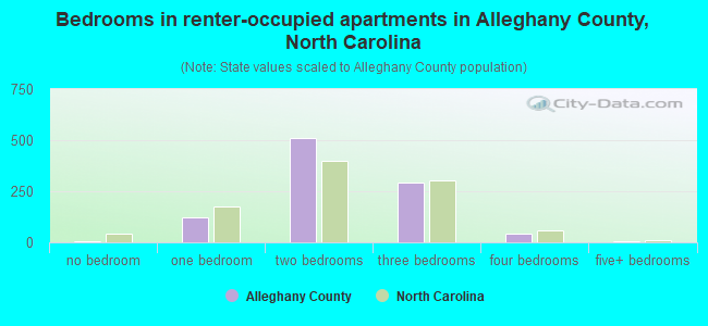 Bedrooms in renter-occupied apartments in Alleghany County, North Carolina