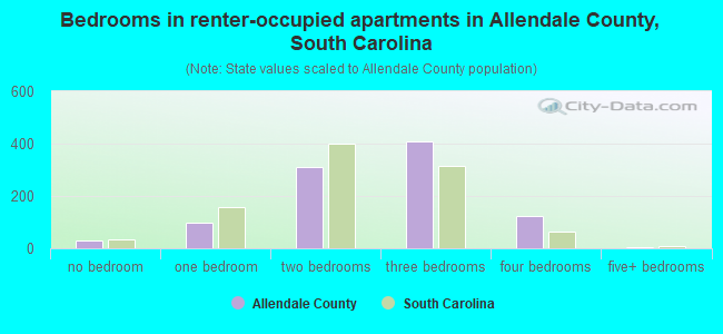 Bedrooms in renter-occupied apartments in Allendale County, South Carolina