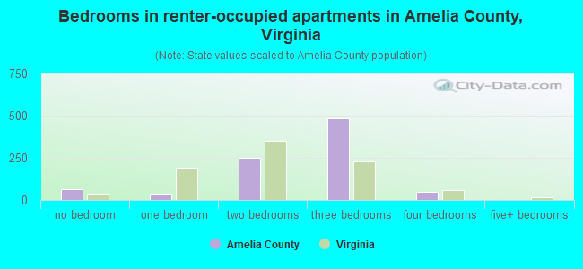 Bedrooms in renter-occupied apartments in Amelia County, Virginia