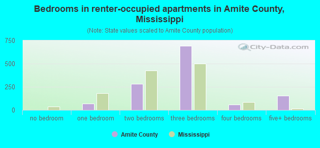 Bedrooms in renter-occupied apartments in Amite County, Mississippi