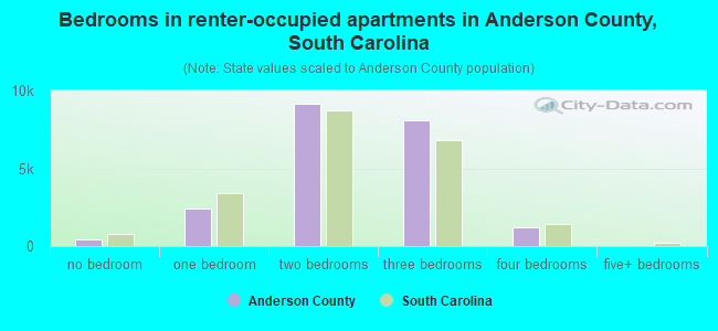 Bedrooms in renter-occupied apartments in Anderson County, South Carolina