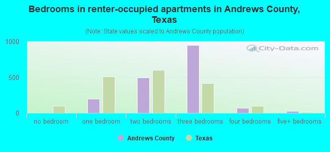 Bedrooms in renter-occupied apartments in Andrews County, Texas