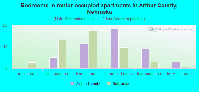 Bedrooms in renter-occupied apartments in Arthur County, Nebraska