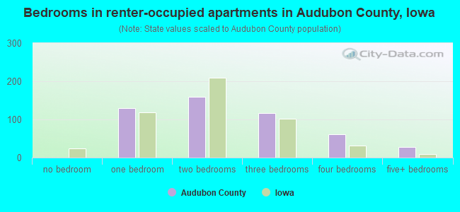 Bedrooms in renter-occupied apartments in Audubon County, Iowa