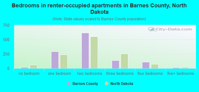 Bedrooms in renter-occupied apartments in Barnes County, North Dakota