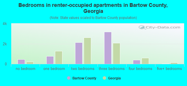 Bedrooms in renter-occupied apartments in Bartow County, Georgia