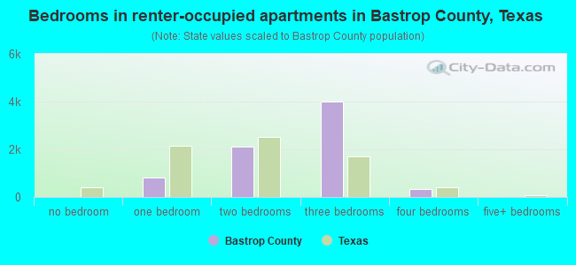 Bedrooms in renter-occupied apartments in Bastrop County, Texas