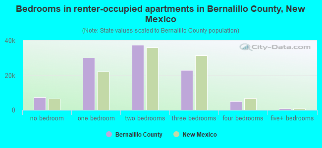 Bedrooms in renter-occupied apartments in Bernalillo County, New Mexico