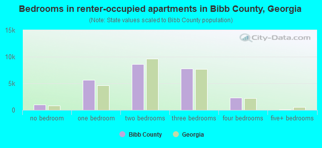 Bedrooms in renter-occupied apartments in Bibb County, Georgia