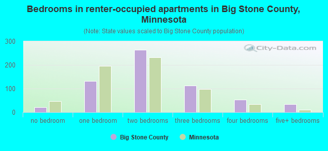 Bedrooms in renter-occupied apartments in Big Stone County, Minnesota