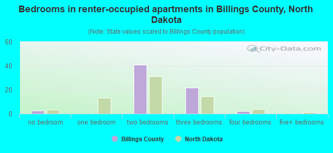 Bedrooms in renter-occupied apartments in Billings County, North Dakota