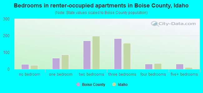 Bedrooms in renter-occupied apartments in Boise County, Idaho