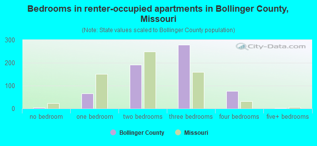 Bedrooms in renter-occupied apartments in Bollinger County, Missouri