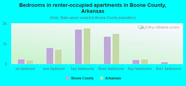 Bedrooms in renter-occupied apartments in Boone County, Arkansas