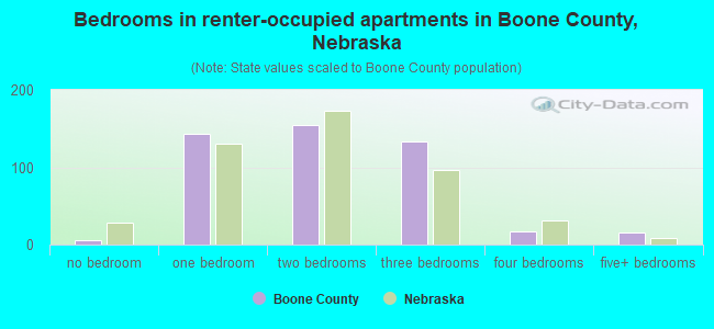 Bedrooms in renter-occupied apartments in Boone County, Nebraska