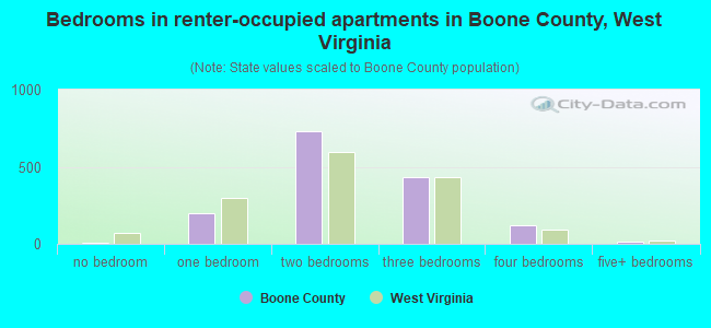 Bedrooms in renter-occupied apartments in Boone County, West Virginia