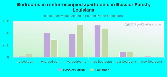 Bedrooms in renter-occupied apartments in Bossier Parish, Louisiana