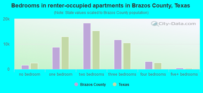 Bedrooms in renter-occupied apartments in Brazos County, Texas