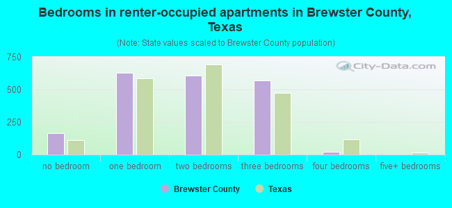 Bedrooms in renter-occupied apartments in Brewster County, Texas