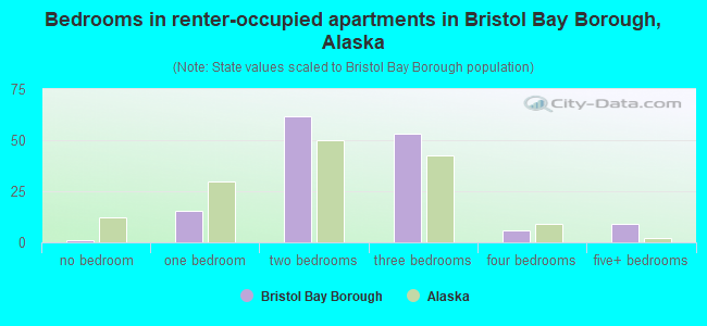 Bedrooms in renter-occupied apartments in Bristol Bay Borough, Alaska