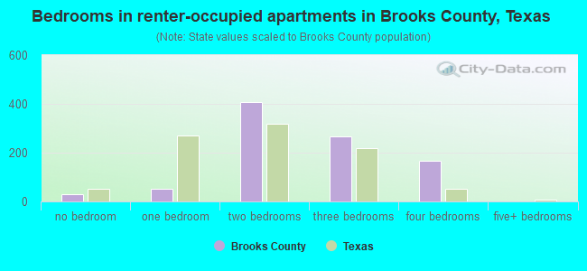 Bedrooms in renter-occupied apartments in Brooks County, Texas