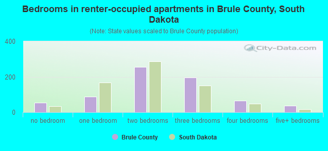 Bedrooms in renter-occupied apartments in Brule County, South Dakota