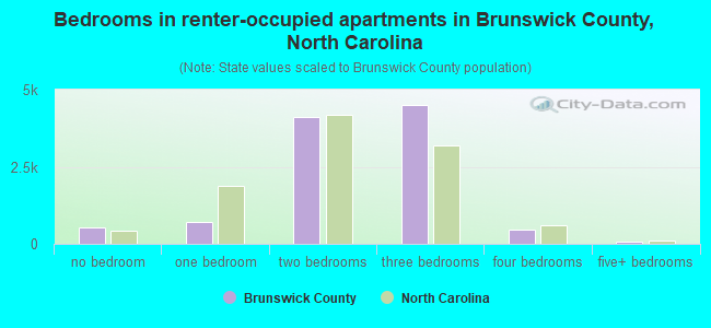 Bedrooms in renter-occupied apartments in Brunswick County, North Carolina