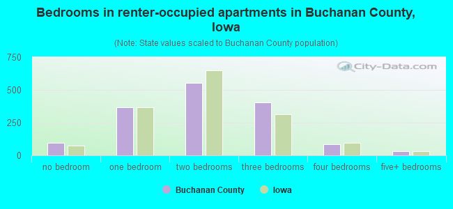 Bedrooms in renter-occupied apartments in Buchanan County, Iowa