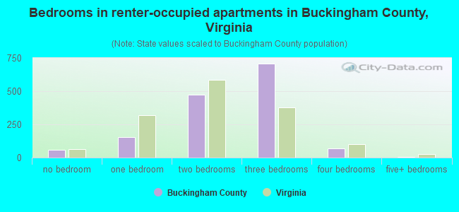 Bedrooms in renter-occupied apartments in Buckingham County, Virginia