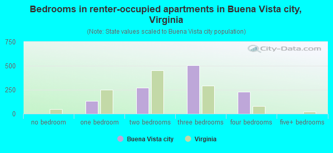 Bedrooms in renter-occupied apartments in Buena Vista city, Virginia