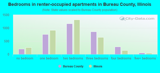 Bedrooms in renter-occupied apartments in Bureau County, Illinois