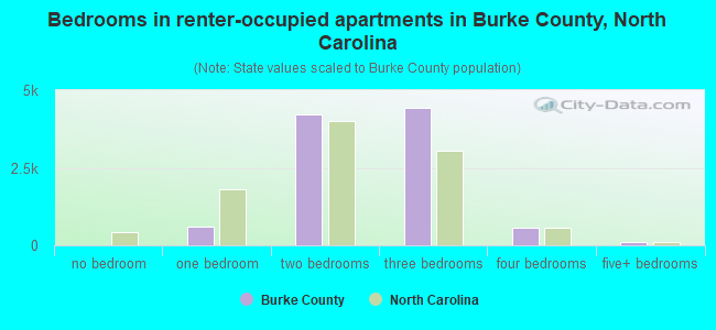 Bedrooms in renter-occupied apartments in Burke County, North Carolina