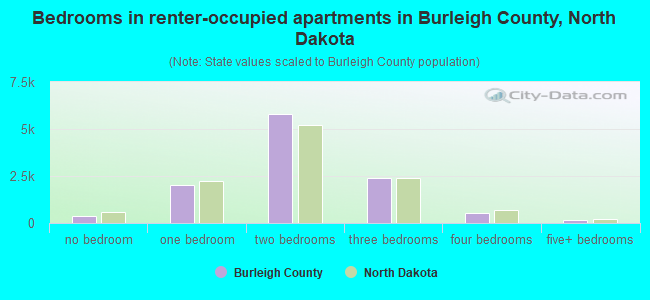 Bedrooms in renter-occupied apartments in Burleigh County, North Dakota
