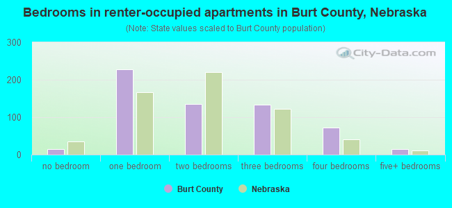Bedrooms in renter-occupied apartments in Burt County, Nebraska
