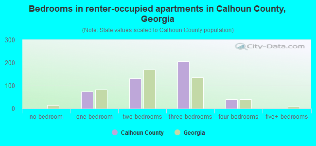 Bedrooms in renter-occupied apartments in Calhoun County, Georgia