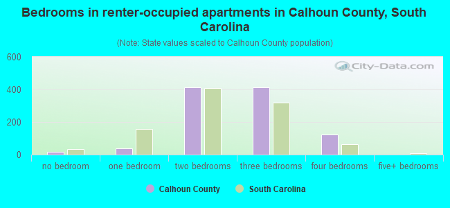 Bedrooms in renter-occupied apartments in Calhoun County, South Carolina