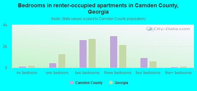 Bedrooms in renter-occupied apartments in Camden County, Georgia