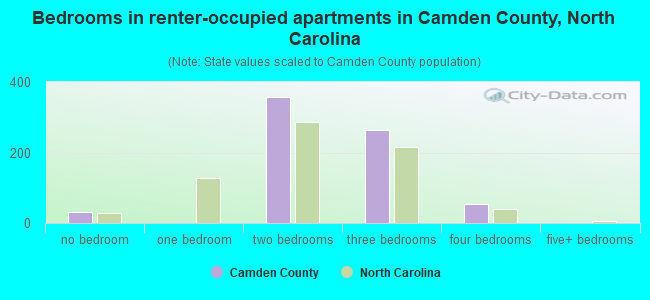 Bedrooms in renter-occupied apartments in Camden County, North Carolina